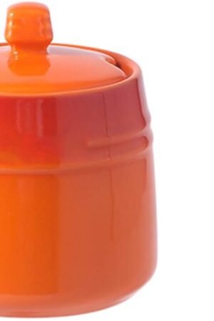 1set Ceramic Spice Jar with Spoon Multifunctional Seasoning Storage Container for Salt Sugar and Spices Kitchen Condiment Canister Accent